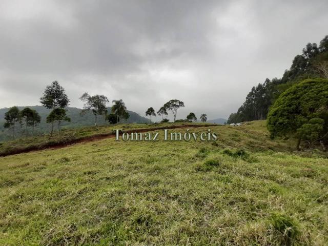 Área rural em Imaruí com Escritura Pública, com uma área total de 15,9 HA - Foto 2