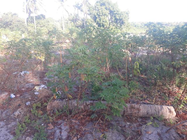 Troco terreno por uma (montana,ano 2012 em bom estado) - Foto 2