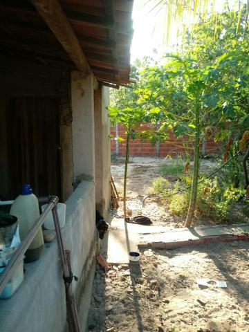 Vende-se casa em Pacajus-ce - Foto 2