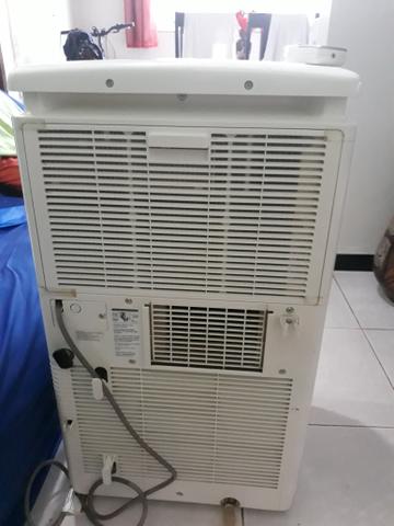 Consul - Foto 3