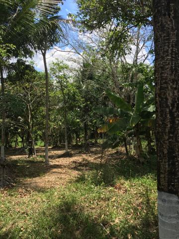 Sítio para vender ou trocar por casa - Foto 5