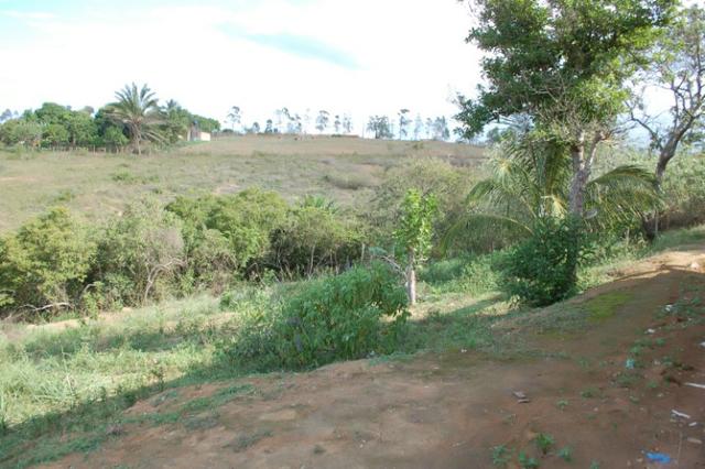 Sitio em Vila Velha - Oportunidade - Particular - 5.000 metros - Foto 3