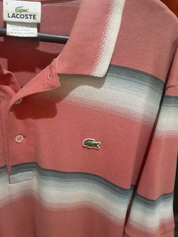 polo lacoste degrade