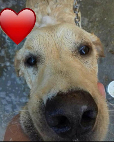 Procuro uma namorada! - Foto 2