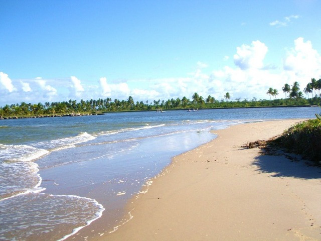 PE | 1 Quarto | 30m² | Flat em Porto de Galinhas - Foto 12