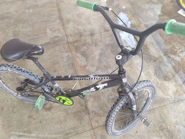 Baki preta aro 20 para manobra! Flair (pro X)