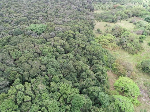 FAZENDA NAS MARGENS DO LAGO AZUL - 23 Hectares