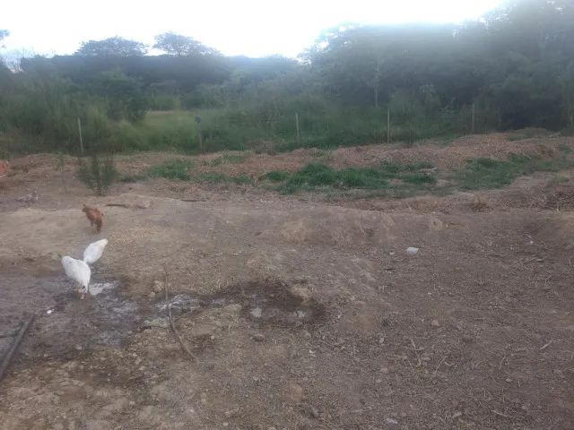 Piedade dos Gerais - Sítio 7.000m² - Foto 5