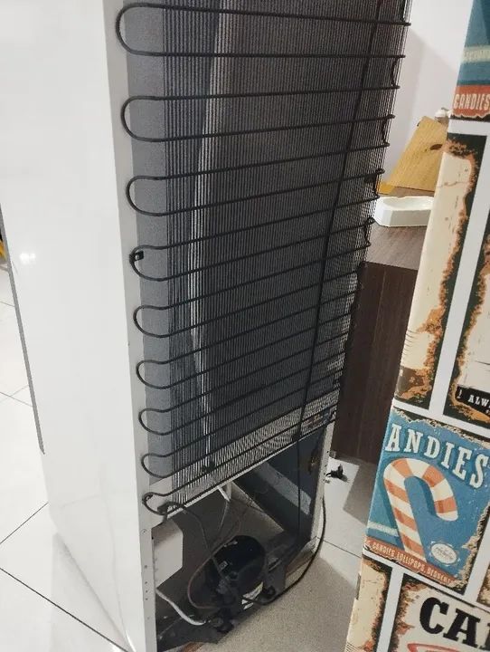 Expositora Venâncio - Conservando seus produtos com qualidade - Foto 3