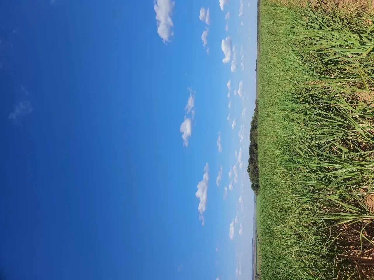 Linda FazenDa em Chapadao - Foto 6