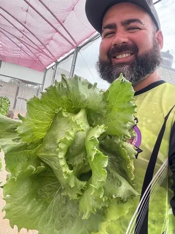 Montagem e consultoria em hidroponia  - Foto 6