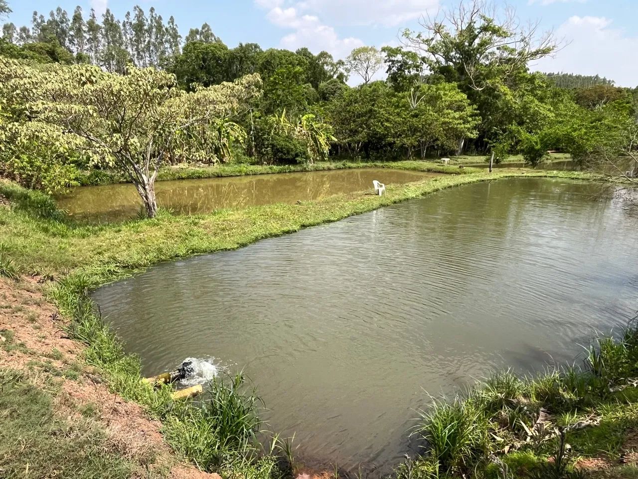 Chácara - Foto 5