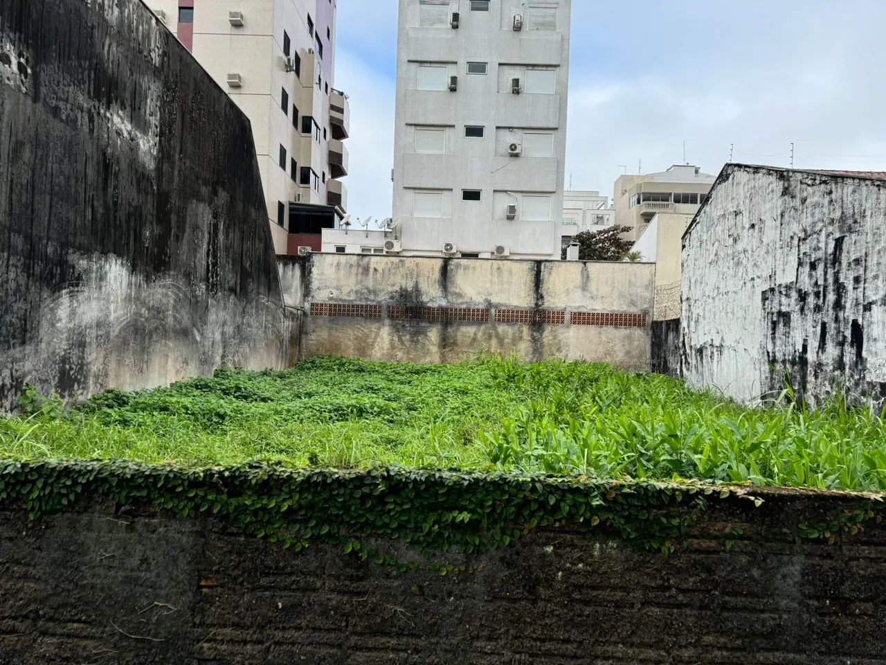 Terreno à venda em Caiobá ARYA1 - Foto 2