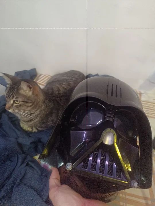 Máscara Darth Veder 