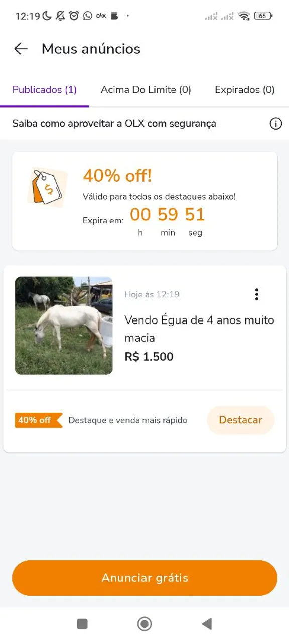 Égua de 4 anos muito macia