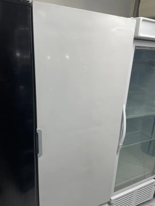 Freezer vertical- Evandro 