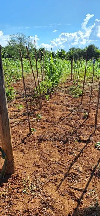Chácara maravilhosa no Rajadinha-DF. PERTINHO DO ASFALTO . - Foto 10