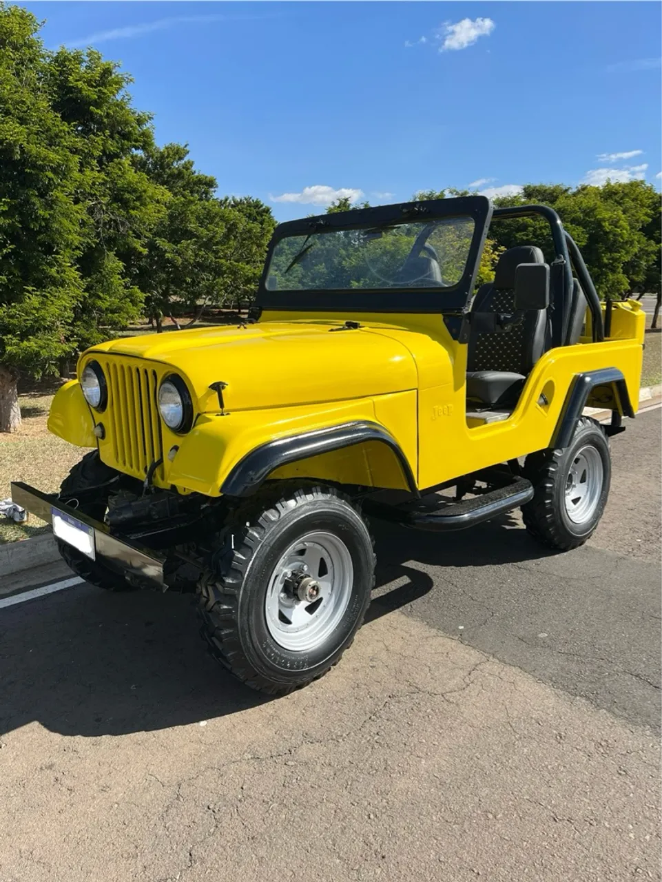 WILLYS OVERLAND JEEP Usados e Novos em SP