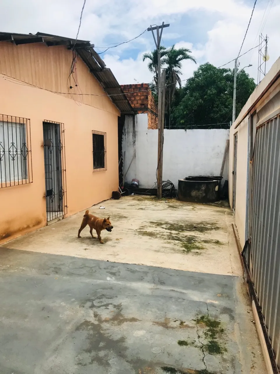 Vendo casa