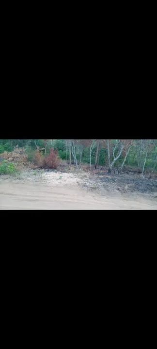 Vendo meia tarefa de terra no Crato  - Foto 3