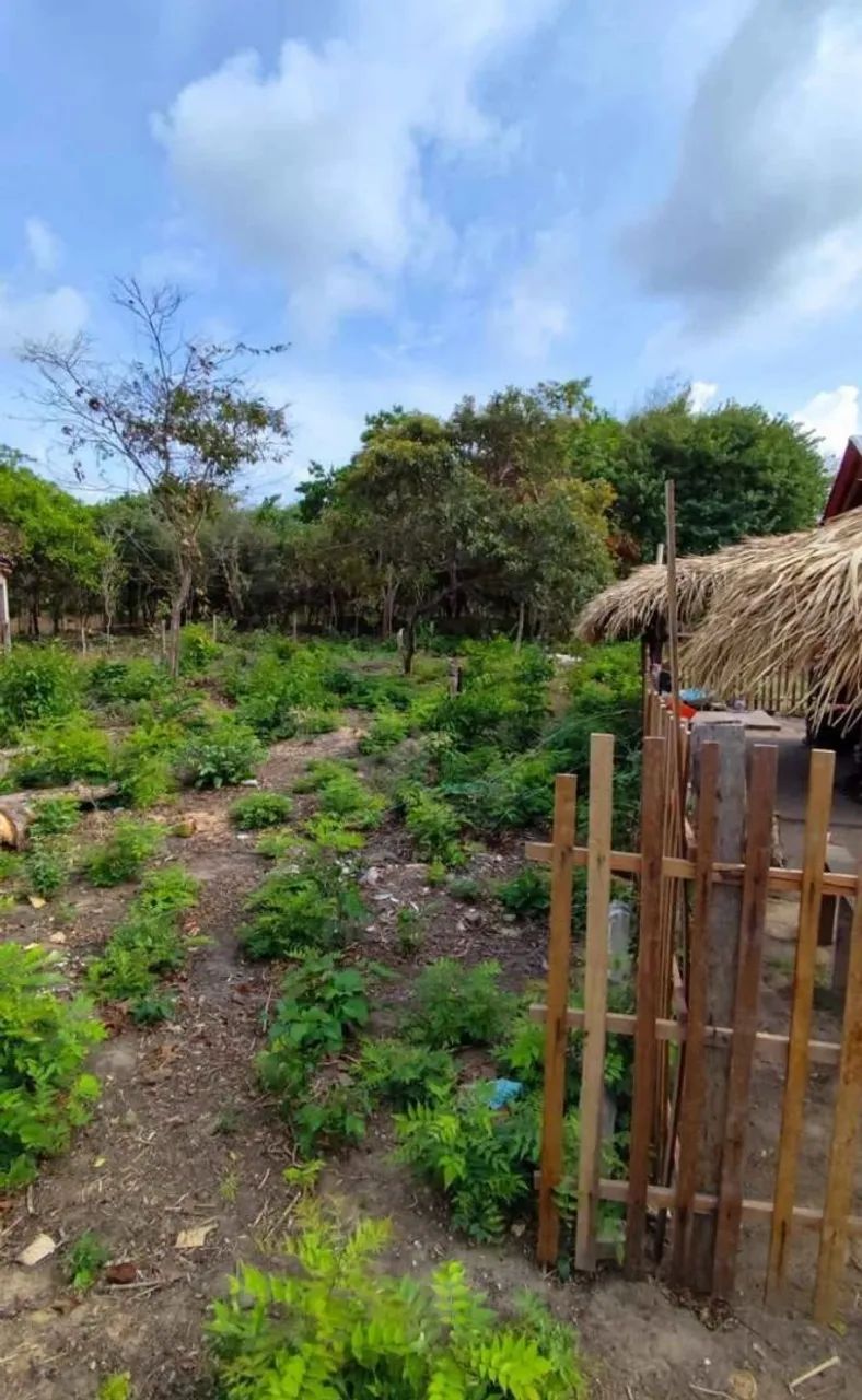 Oportunidade em Fortalezinha - Maiandeua - Foto 6
