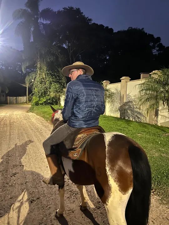 Tubiano lindo forte chama atenção por onde passa  - Foto 5