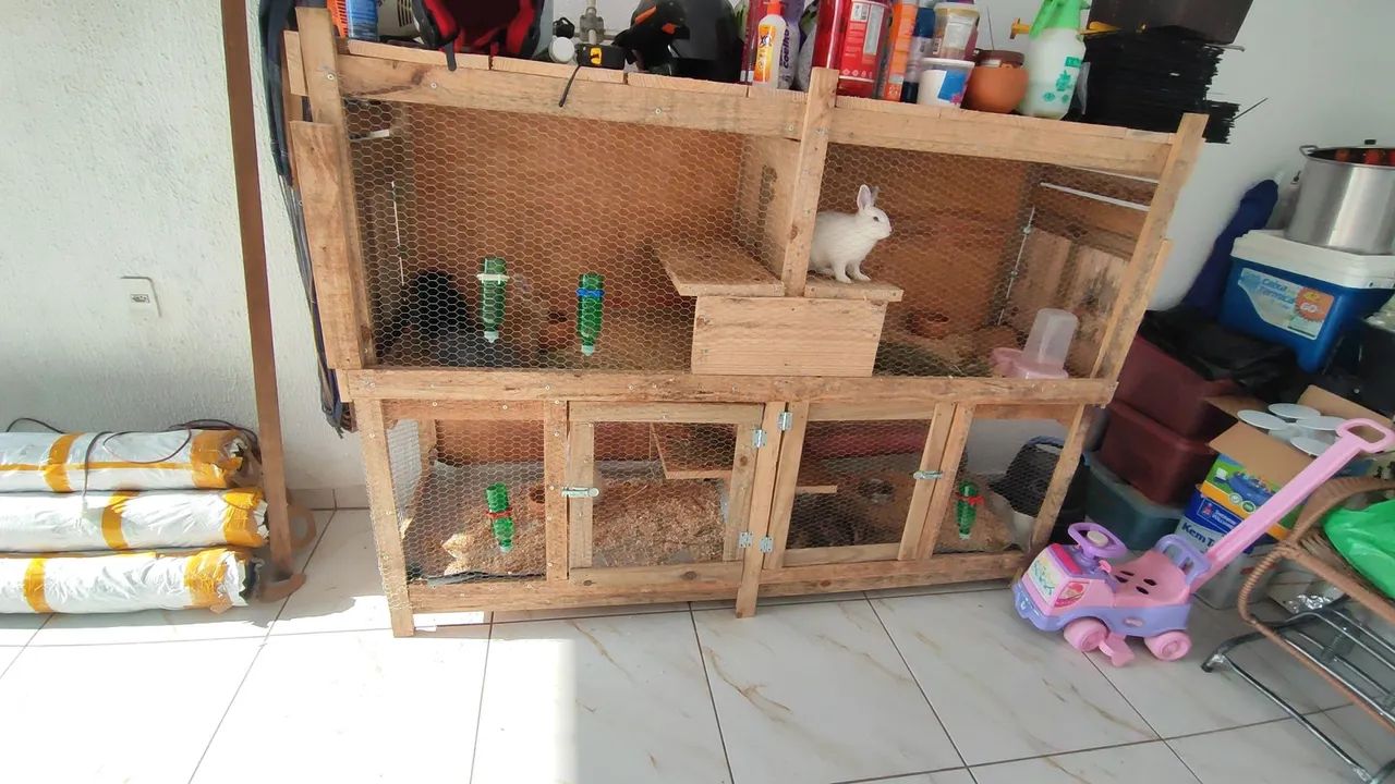 Viveiro madeira64169319717506123