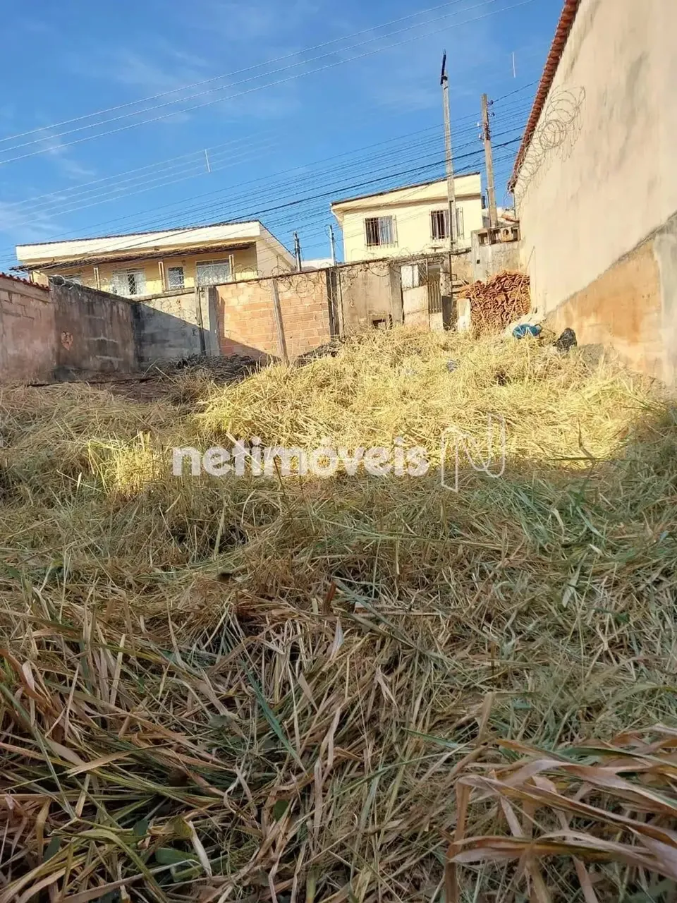 Venda Lote-Área-Terreno Cachoeirinha Belo Horizonte
