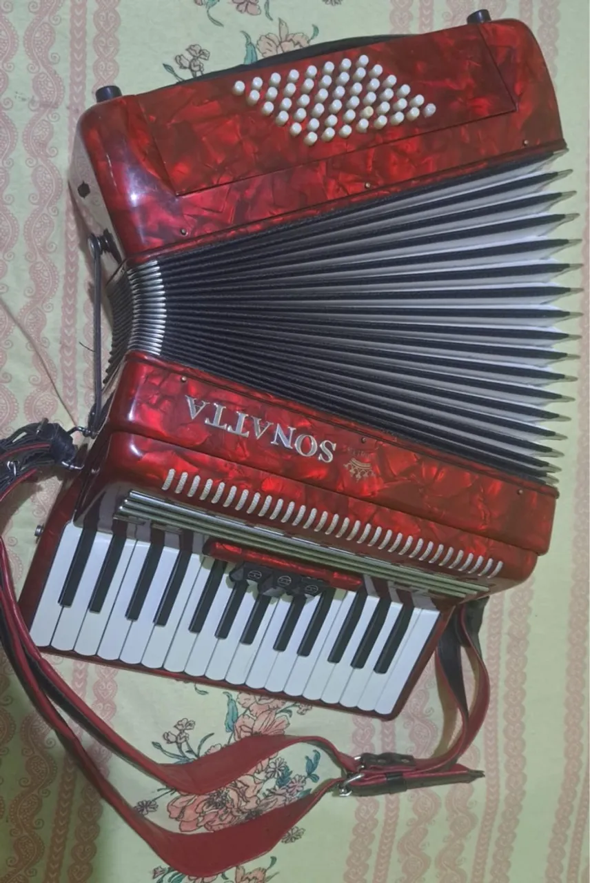Sanfona, acordeon 48 baixo sonatta