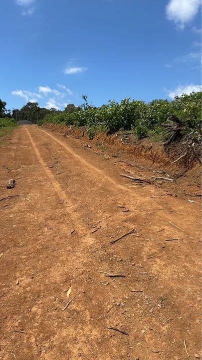 Terreno plano com muro - pronto para construir! - Foto 5