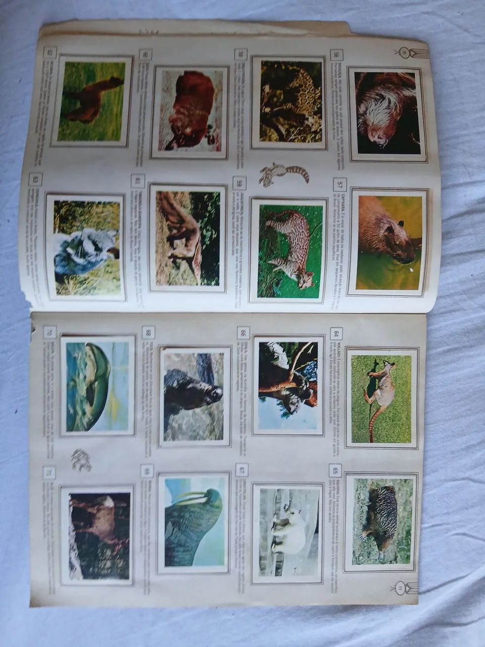 Álbum Natureza Viva - Foto 2