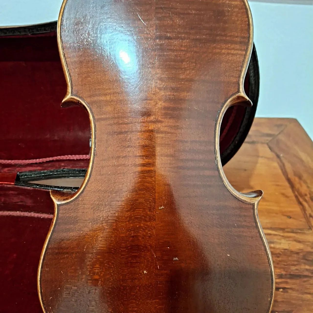 Violino Rigat Rubus - Foto 2