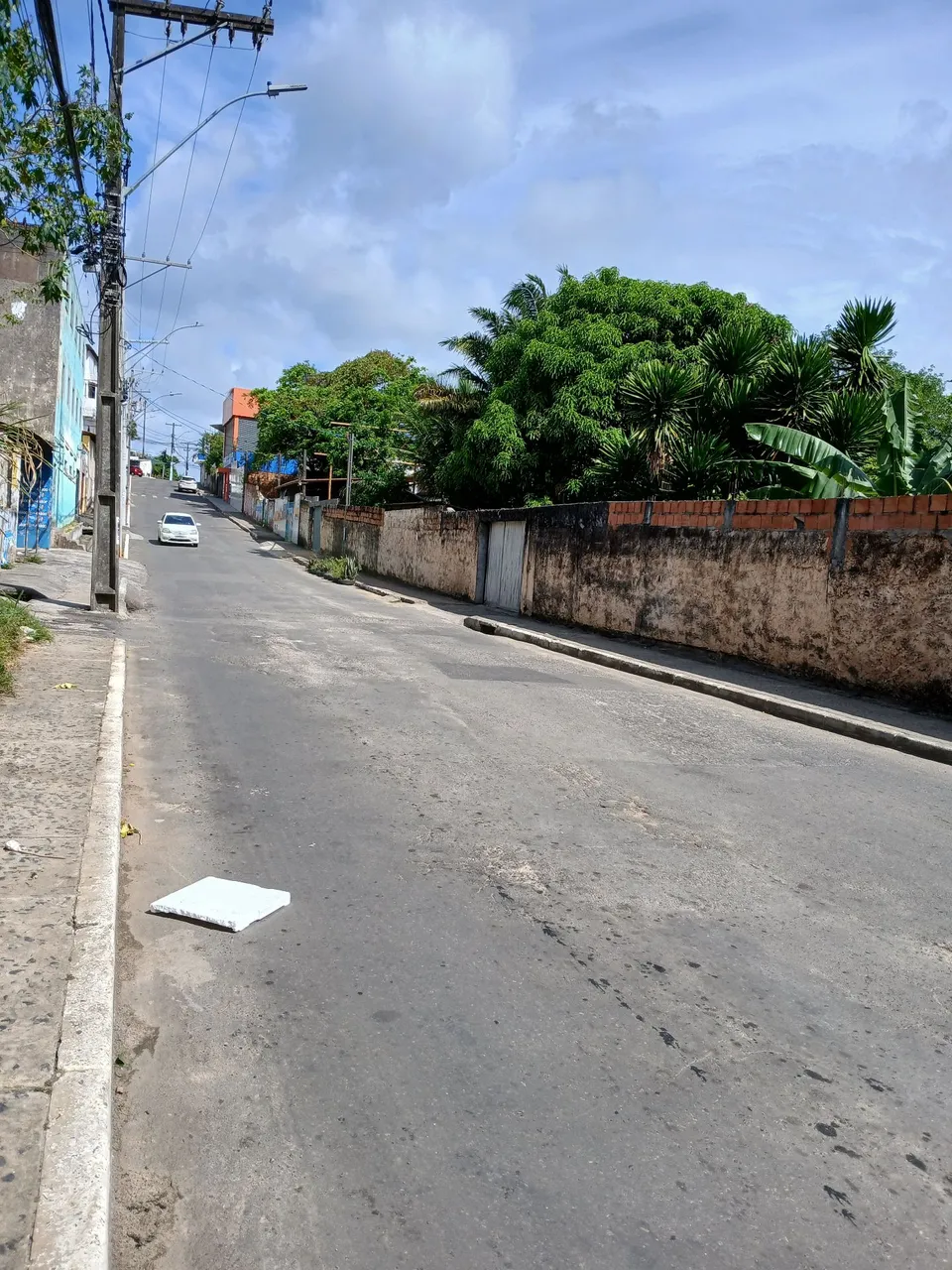 Terreno mussurunga