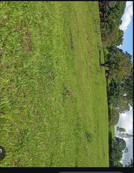 2,3 HC com represa em Arraial dos Afonsos  - Foto 4