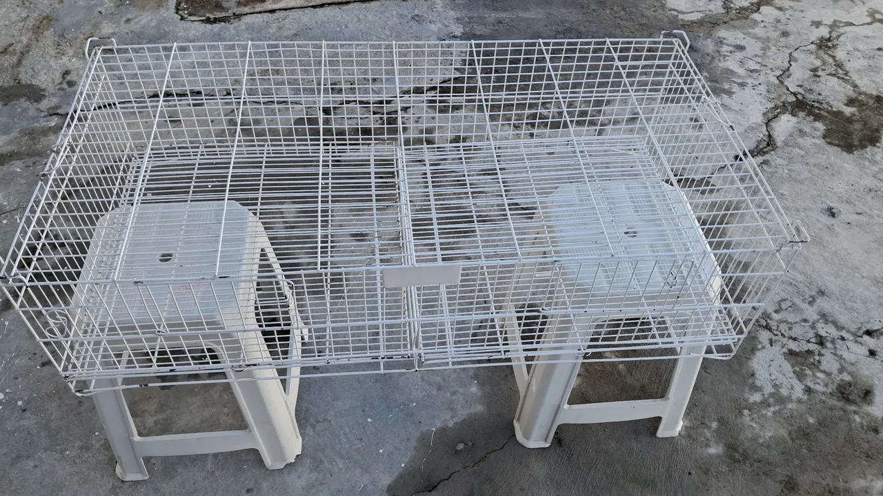 Gaiola aramada branca com 2 divisórias e 2 banquetas