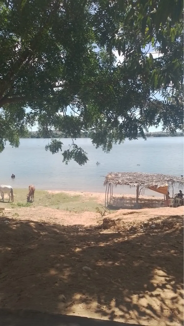 Terreno às margens do rio São Francisco