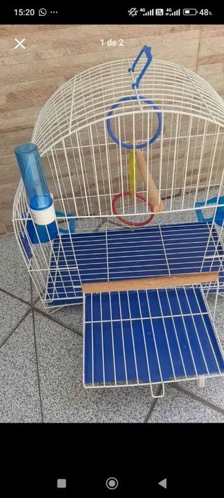 Gaiola nova  - Foto 2