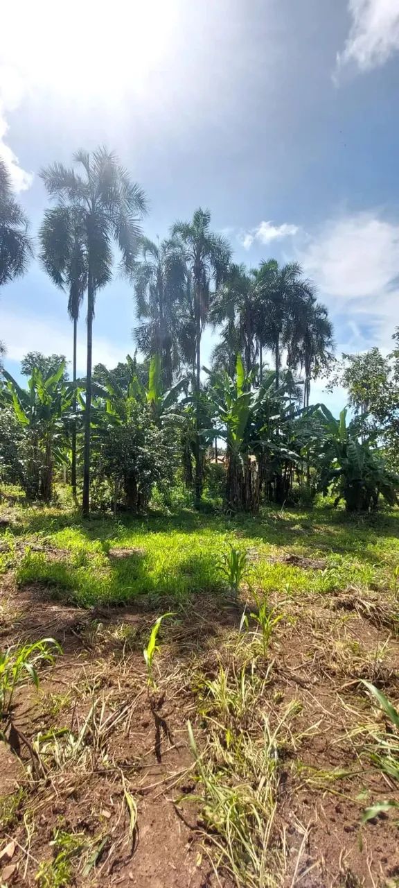 Imóvel para venda tem 320 metros quadrados com 3 quartos em c - Caldazinha - GO - Foto 5