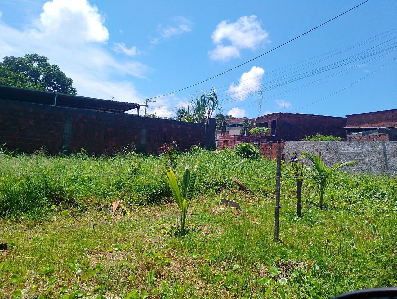 Foto - Olinda - Fragoso