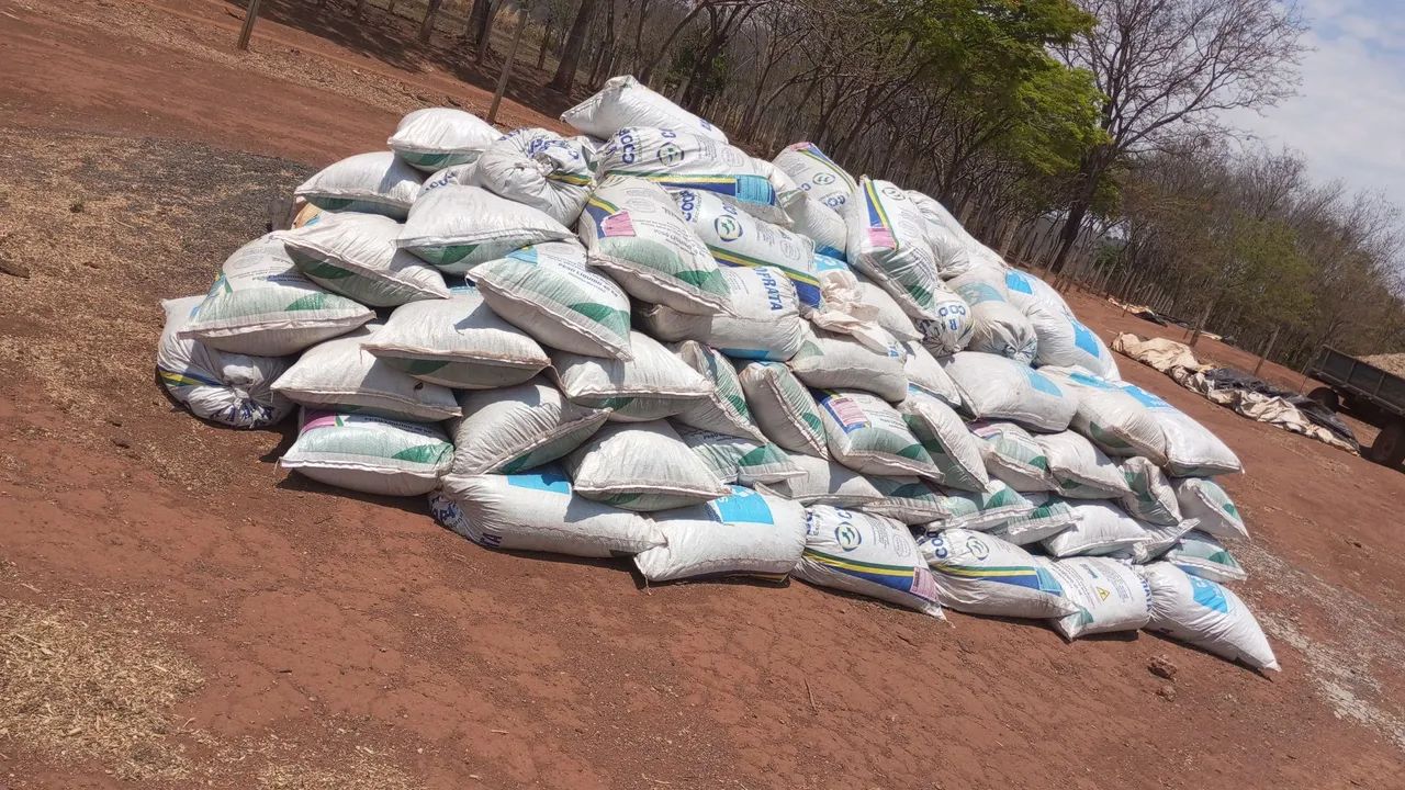 Vende-se Esterco  - Foto 4