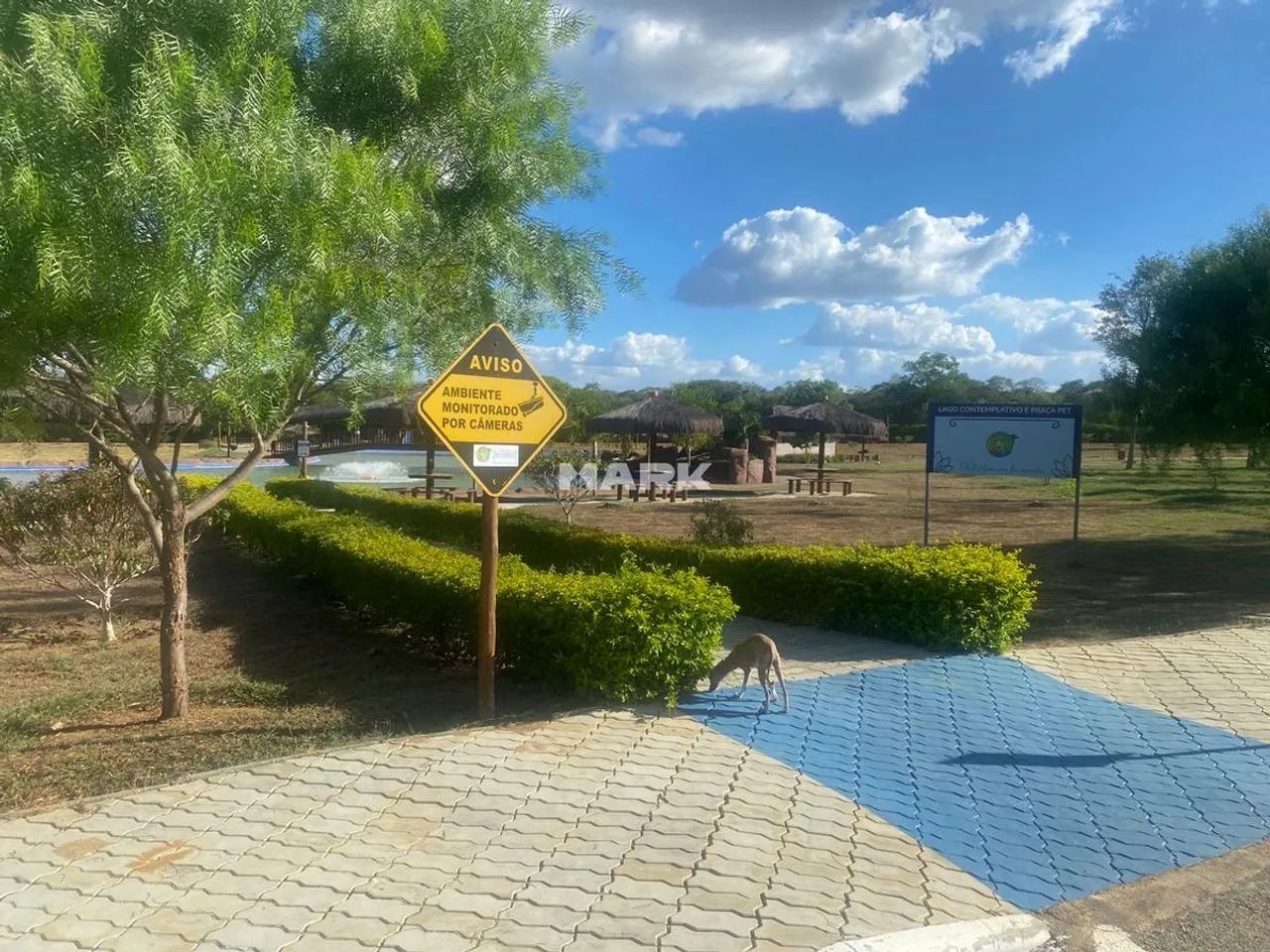 HARAS CAMPING CLUB - Foto 7