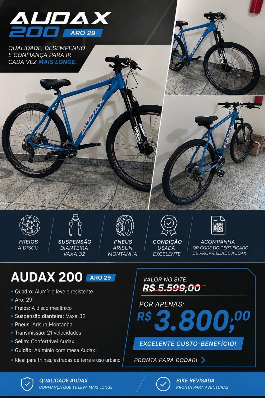 Bicicleta AUDAX 200 ARO 29