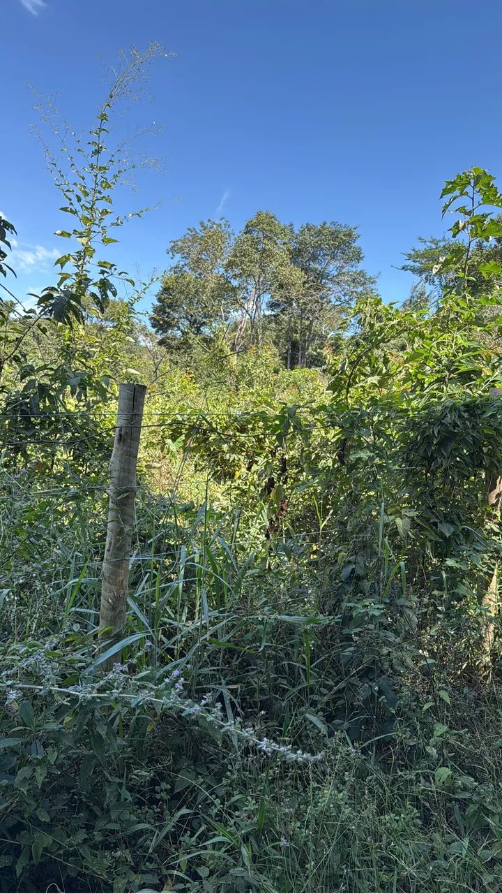 Lote em chacreamento em Esmeraldas - Foto 3
