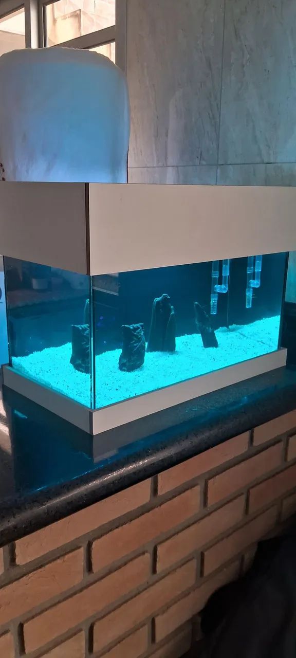 Aquario nano 40x20x20 - Foto 5