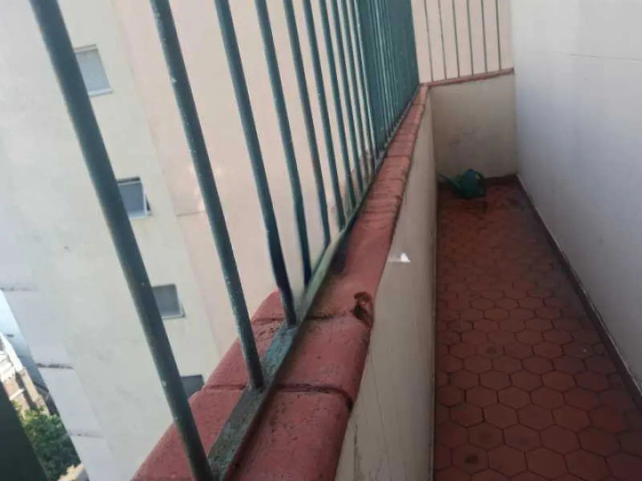Apartamento : / Residencial / Glória - Foto 2