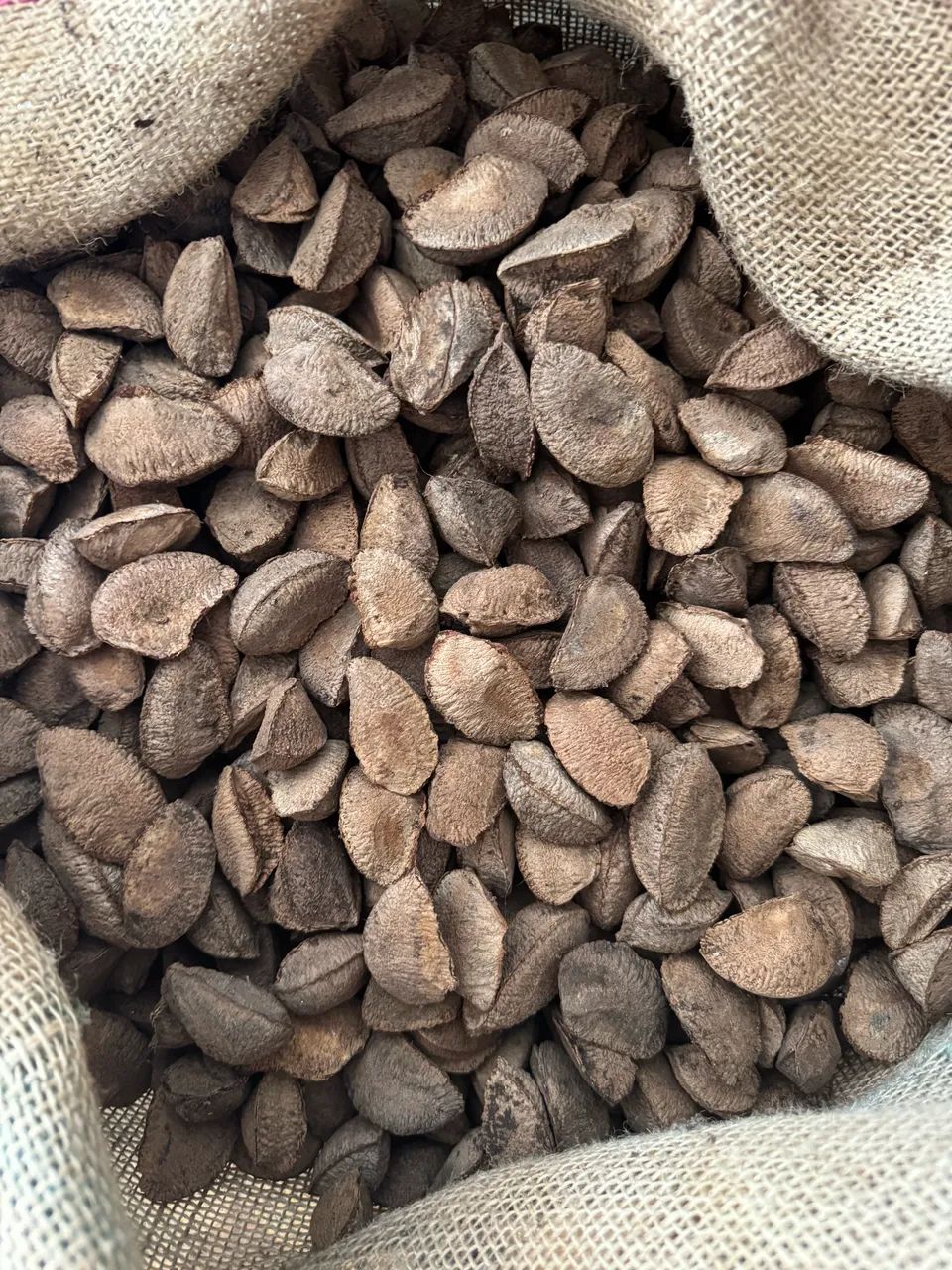 Vendo Castanha com Casca  - Foto 2