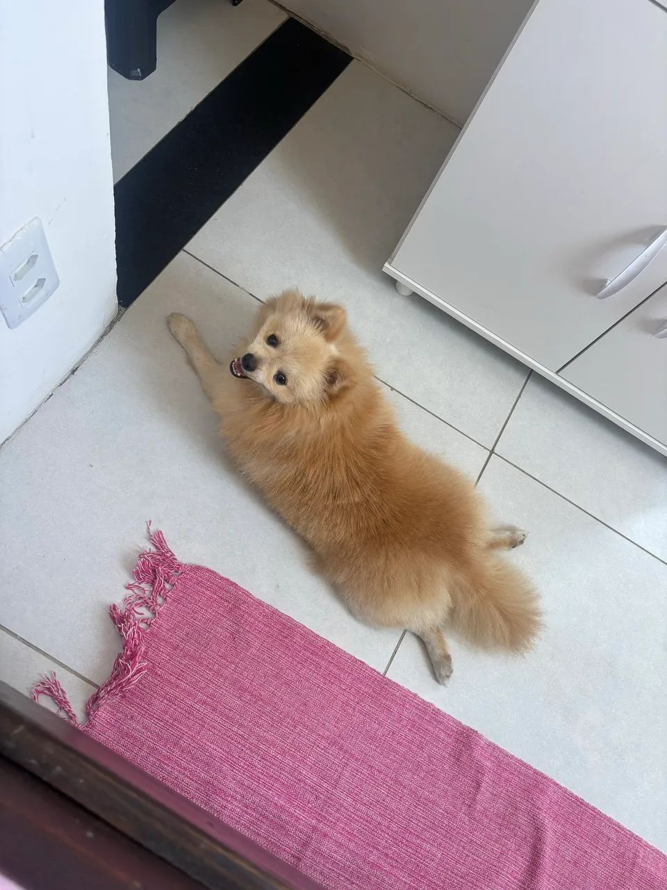 Lulu  - Foto 5