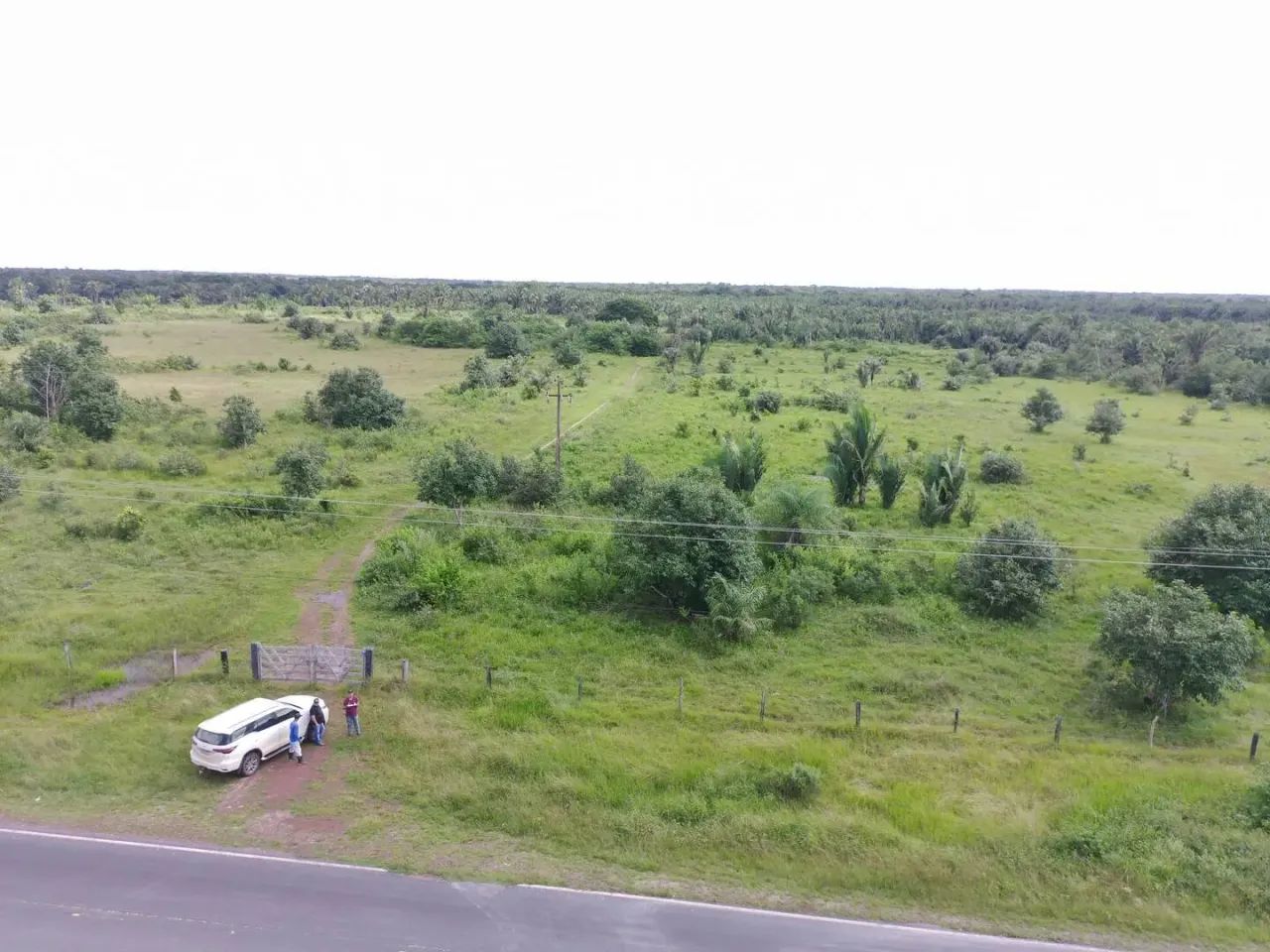 FAZENDA Á VENDA -TURILÂNDIA/MA codigo: 370853 - Foto 4