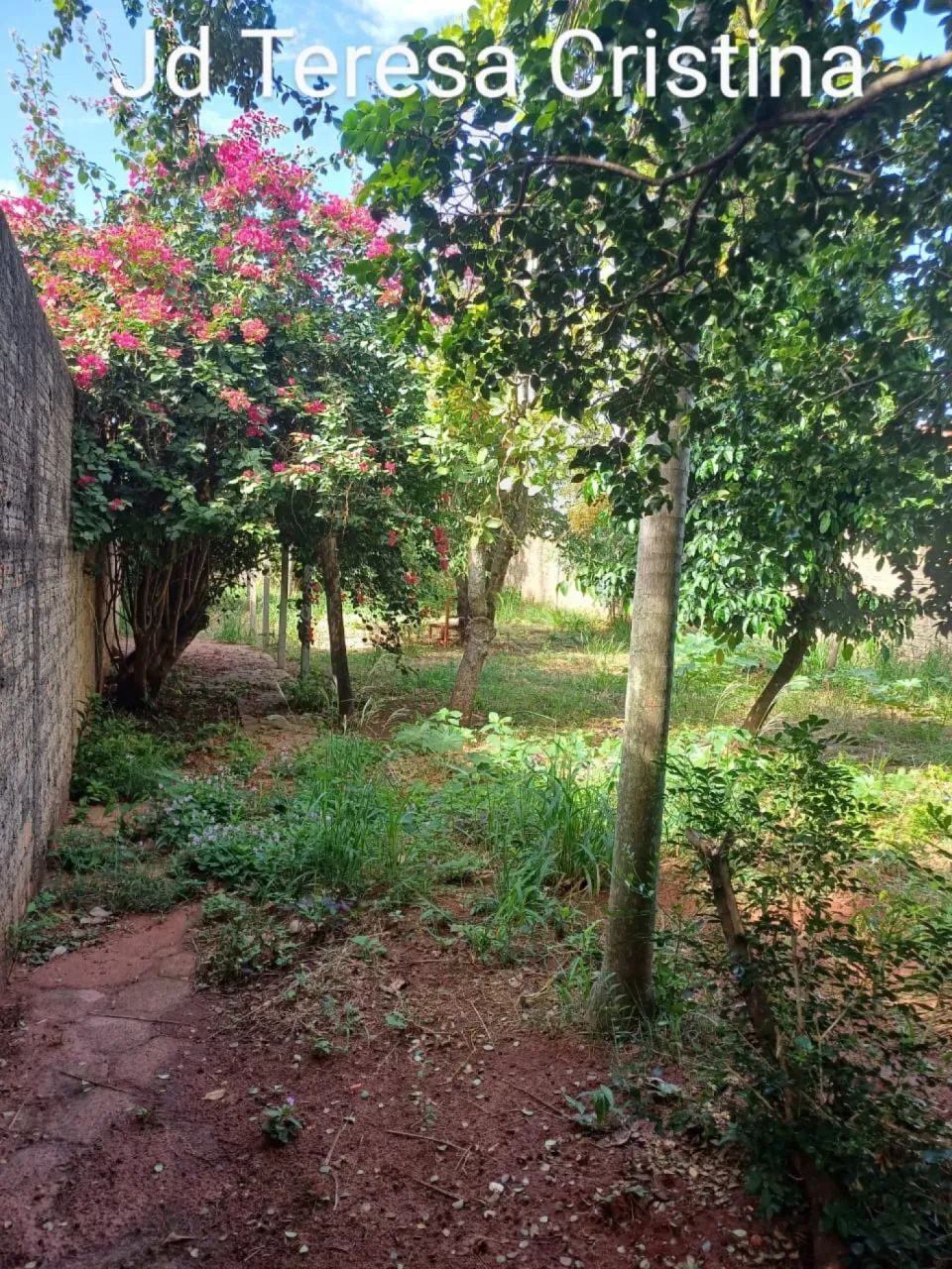 Terreno Padrão em São Manuel - Foto 5