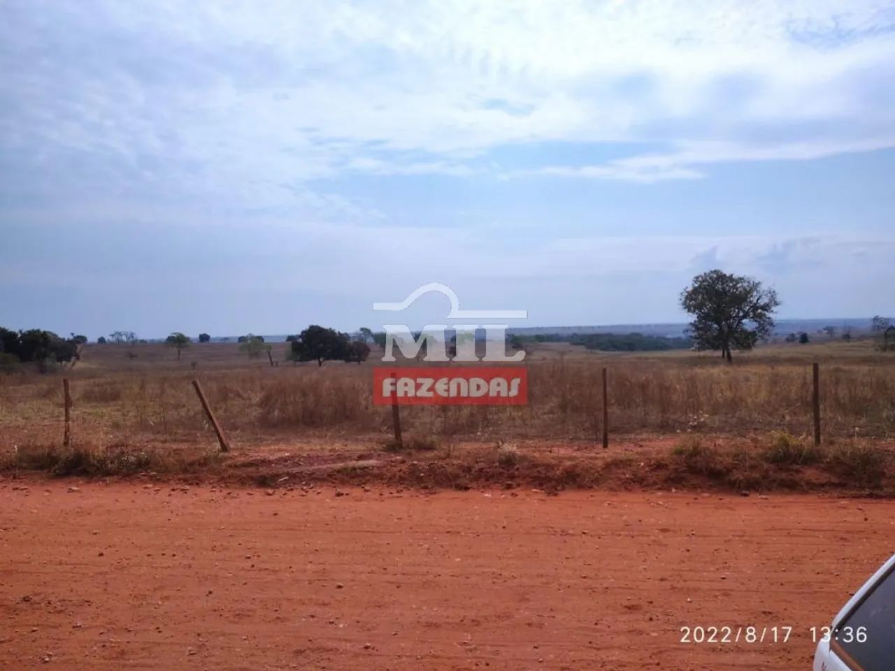Fazenda em Santa Vitória - MG - 2.720 Há - Foto 4